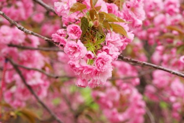 嘉兴秀洲区3线下个人借款平台一站式服务，轻松解决资金难题