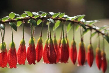 嘉兴秀洲区3零用贷短借：轻松解决临时资金需求