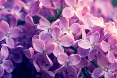 嘉兴秀洲区3企业急用钱贷款攻略：快速融资解燃眉之急